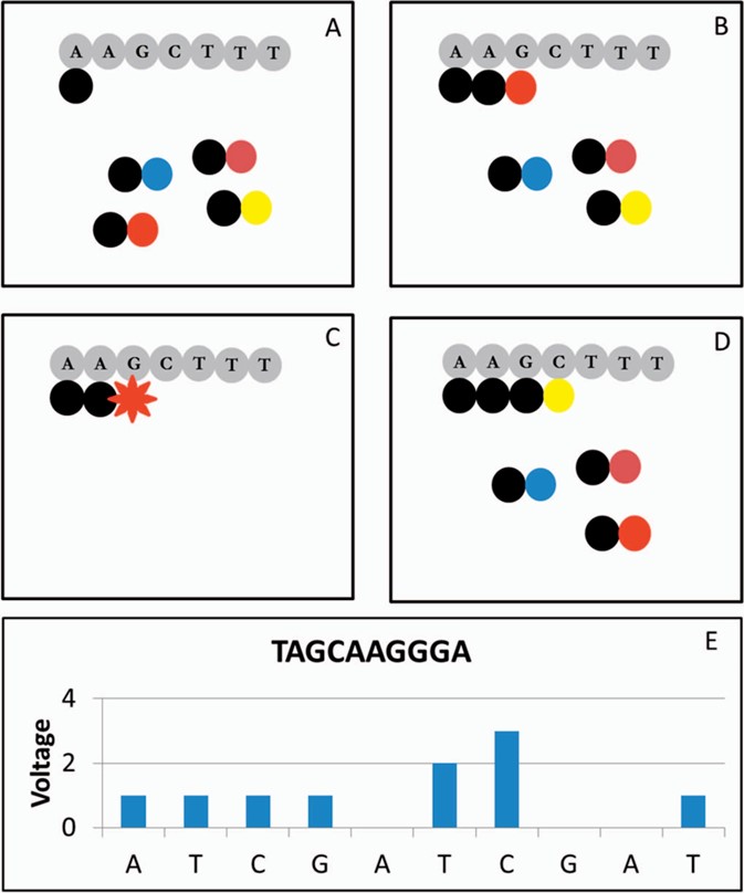 【佳学基因检测13】医院所需要的下一代测序技术（NGS测序）